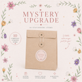 Mystery Upgrade 🤍 (10 Items)
