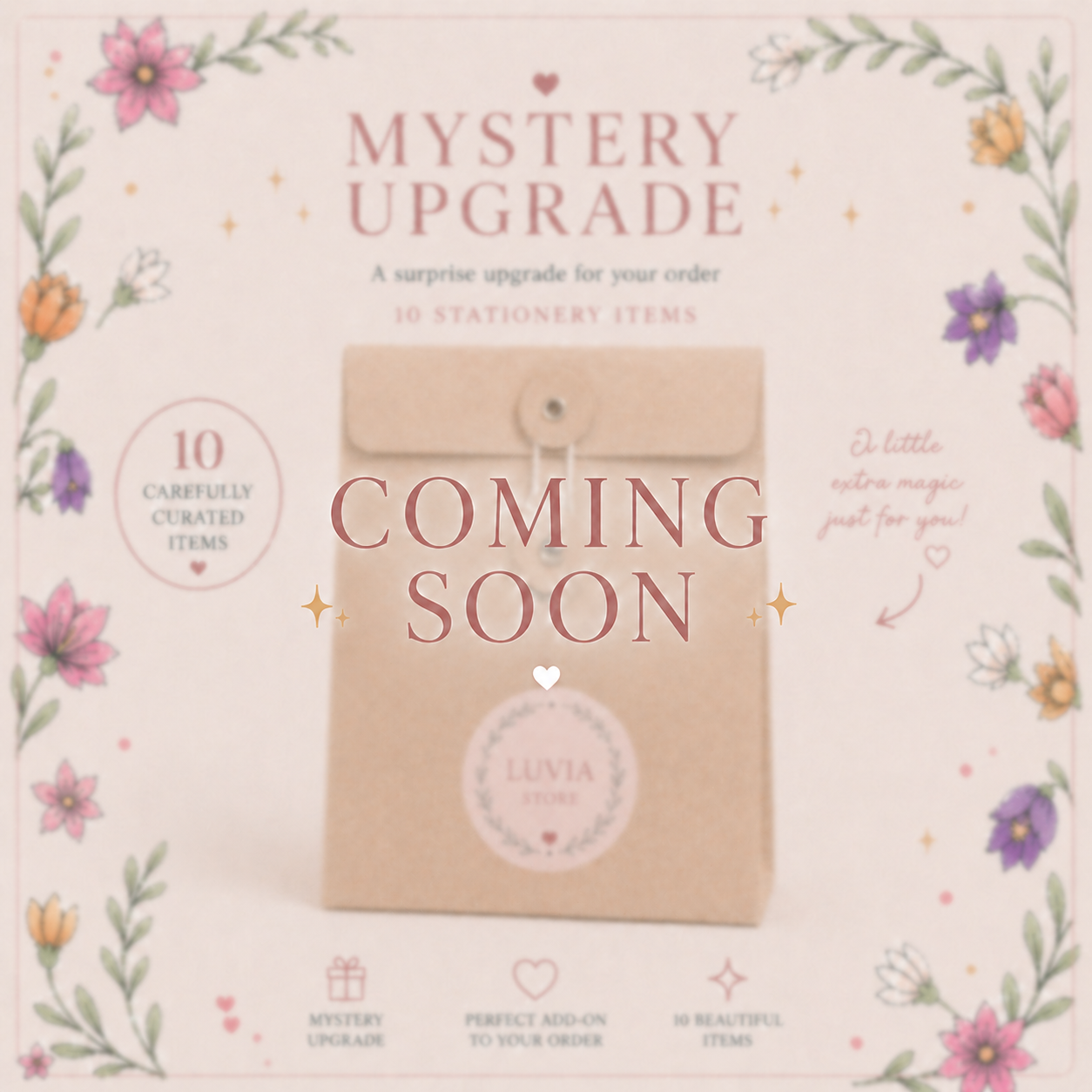 Mystery Upgrade 🤍 (10 Items)